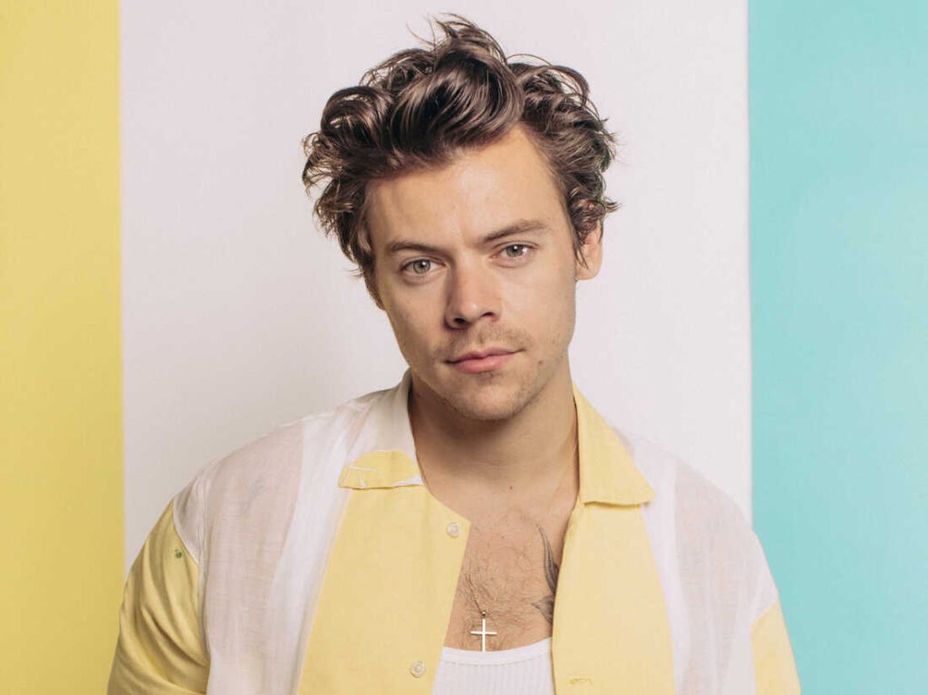 Harry Styles--IMAGE SOURCE GOOGLE